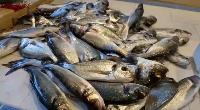 Pescheria Friggitoria O'Saracino · Foto 14